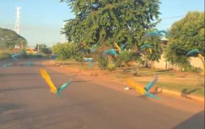 Vídeo que mostra beleza de Três Lagoas viraliza nas redes sociais