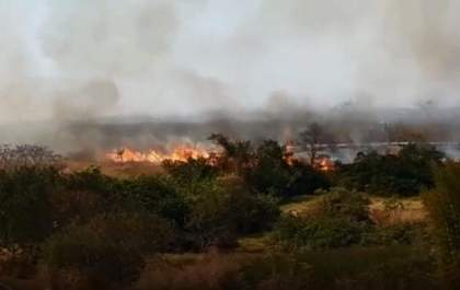 Queimada em cana causa estragos neste domingo