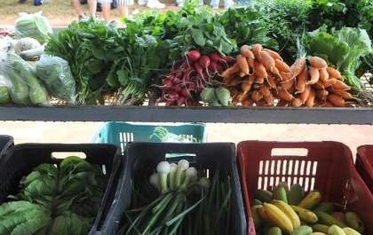 Assistência Social de Birigui abre cadastramento para o ‘Fome Zero’