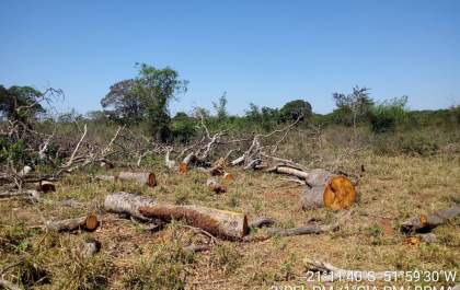 PMA de Três Lagoas autua sitiante em R$ 4,3 mil por derrubada de árvores