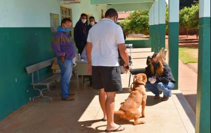 Mais de 150 cães e gatos são vacinados contra a raiva em bairro de Selvíria