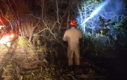 Bombeiros atendem incêndio na BR 158