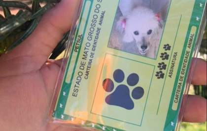 Jaqueline Roque faz carteira de identidade para animais