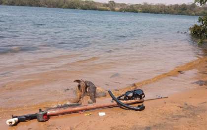 Homem é preso por pescar Piapara com arpão na Ilha Comprida