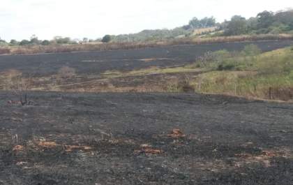 Fogo atinge área de 200 campos de futebol e é captado por satélite