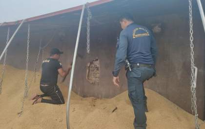 PMR encontra mais de meia tonelada de droga em carreta tombada