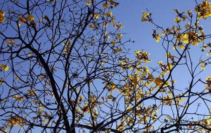 Primeiro domingo da primavera é de sol e calor em todas as áreas de Mato Grosso do Sul