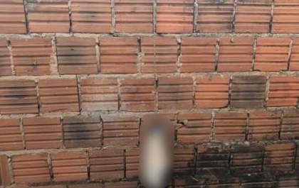 Gata é encontrada enforcada em terreno de cuidadora de animais