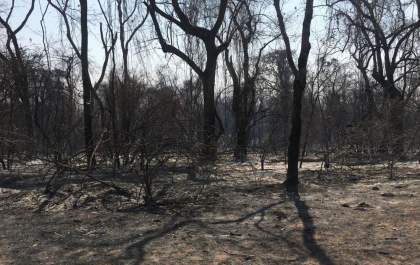 Incêndio atinge cerca de 2 mil hectares de terras na região