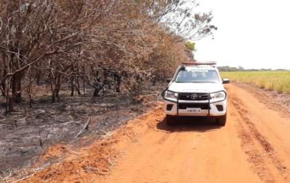 Incêndio ocasionado por carvoaria gera multa superior a R$ 1 milhão
