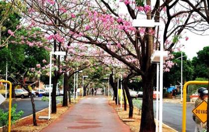 Cidades turísticas receberam o maior valor mensal do ano em setembro, Ilha Solteira está na lista