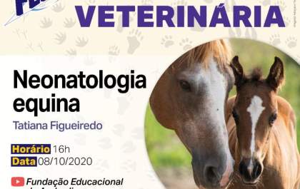 Semana Acadêmica de medicina veterinária da FEA de Andradina apresenta palestra da Neonatologia equina hoje
