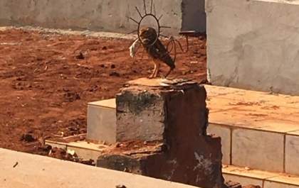 Professora Ivone é encontrada morta dentro de casa em Três Lagoas