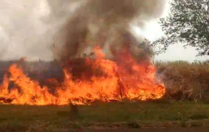 Fogo atinge margens da Rodovia da Integração