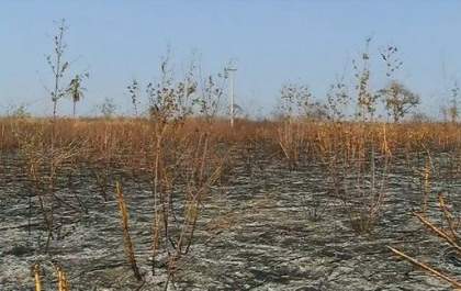 Novos focos de incêndio aparecem em Castilho
