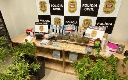 Homem é preso com plantação de maconha em casa