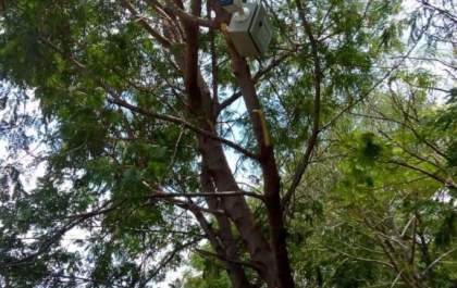 Aparelho de contagem de veículos está assustando motoristas no trecho Tupi Paulista a Dracena
