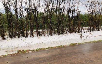 Chuva de granizo ‘cobre’ acostamento de vicinal no interior de SP