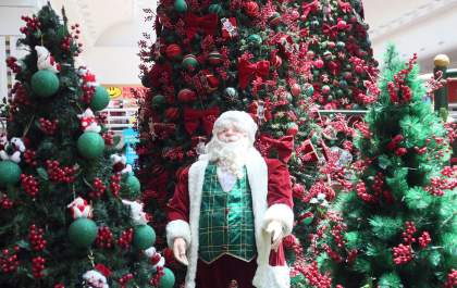 Com o tema “Jardim do Natal” campanha do Riopreto Shopping promete emocionar os clientes