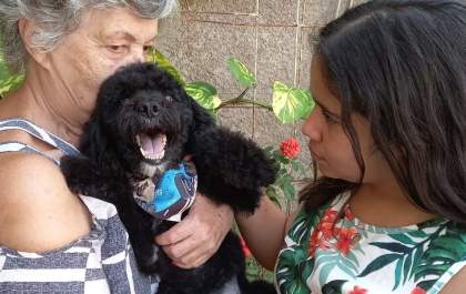 Cão é resgatado de bueiro pela PM e ganha um novo lar