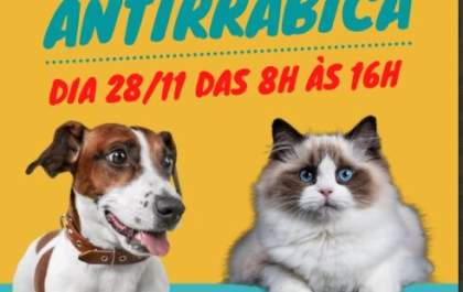Cães e gatos serão vacinados até sábado (28) contra a raiva