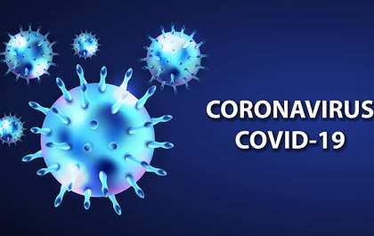 Mais de 50 diagnósticos positivos para covid-19 são confirmados nesta segunda-feira (24) em TL