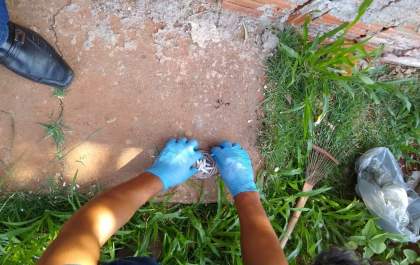 Policiais do SIG fecham boca de fumo em condomínio de Três Lagoas