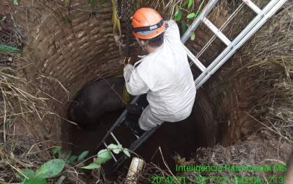 Bombeiro faz resgate em poço desativado