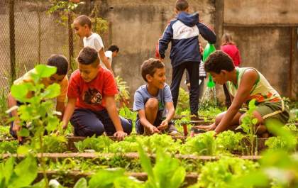 Campanha da Microcamp em prol da ONG Aldeias Infantis é prorrogada até dia 31