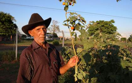 Projeto recupera áreas verdes e possibilita produção de alimentos em Birigui