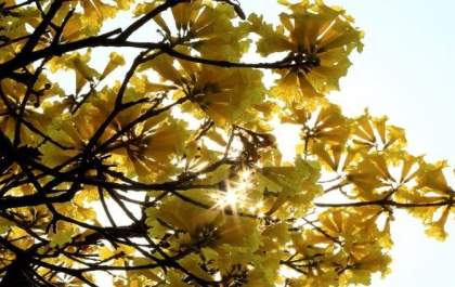 Sol aparece e temperaturas sobem em grande parte do Estado