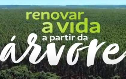 Suzano revela novo Propósito organizacional e reforça conexão com a sustentabilidade e o futuro