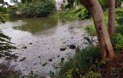 Lagoa das Flores sofre com lixo e abandono
