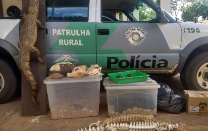 PM Ambiental recolhe 24 animais silvestres em cativeiro na região