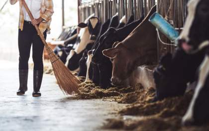 Você sabia que animais de grande porte também precisam de suplementos?