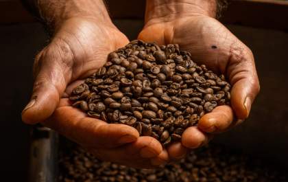 Café arábica em queda nesta terça-feira (19)