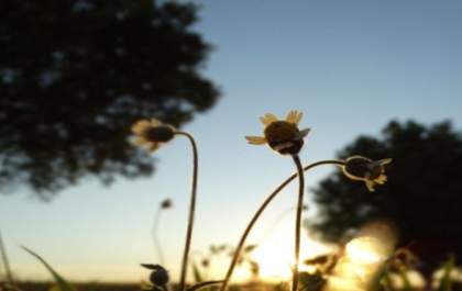 Domingo com períodos de sol e ar abafado em Mato Grosso do Sul