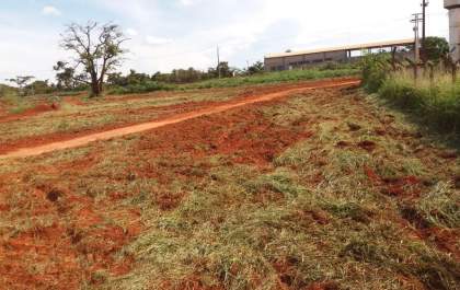 Obras finaliza limpeza em área do Canil Municipal e Barracão de Reciclagem