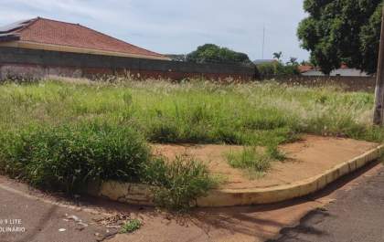 Prefeitura começa a notificar proprietários de terrenos baldios e imóveis sujos na área urbana