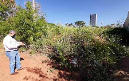 Prefeitura notifica donos de terrenos para limpeza