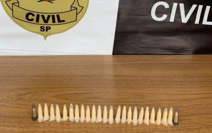 Mulher é presa pela segunda vez em 2 dias por tráfico de drogas