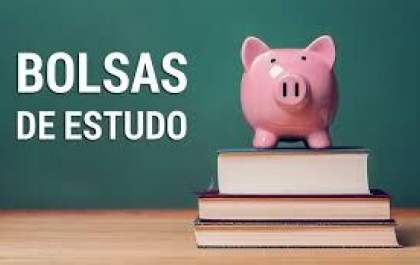 Programa de Bolsas de estudo recebe 300 inscrições em 24 horas