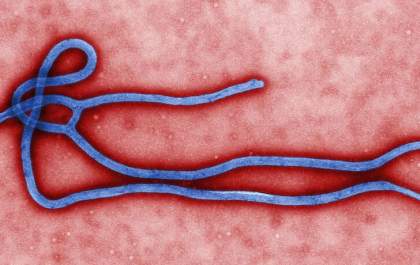 Guiné declara novo surto de ebola
