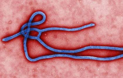 Guiné declara novo surto de ebola