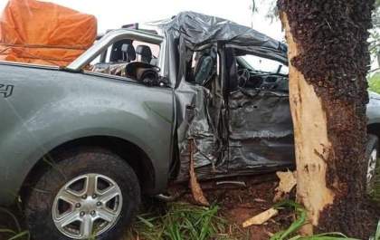 Médico pediatra de Jales morre em colisão de caminhonete em árvore