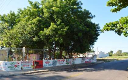 Gatil recebe área para construção de abrigo e clínica veterinária