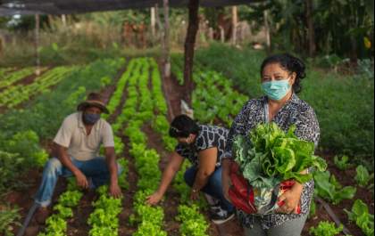 Produtores de Mato Grosso do Sul comercializam 113,5 toneladas de alimentos com apoio da Suzano