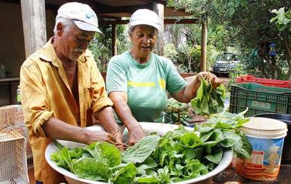 Com apoio do Governo do Estado, casal planta hortas e cria agrofloresta