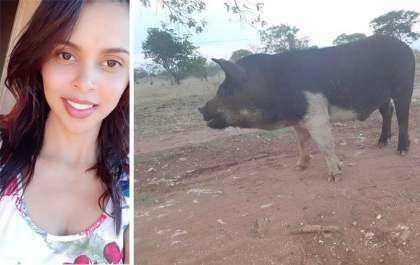 “Estou sofrendo muito”, diz jovem que terá de se despedir de José, o porquinho de estimação