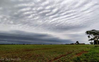 Mato Grosso do Sul está sob alerta para temporal com ventos fortes
